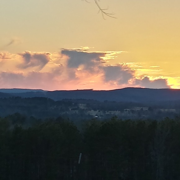 Meet your Posher, Anna - Picture 1 of 1